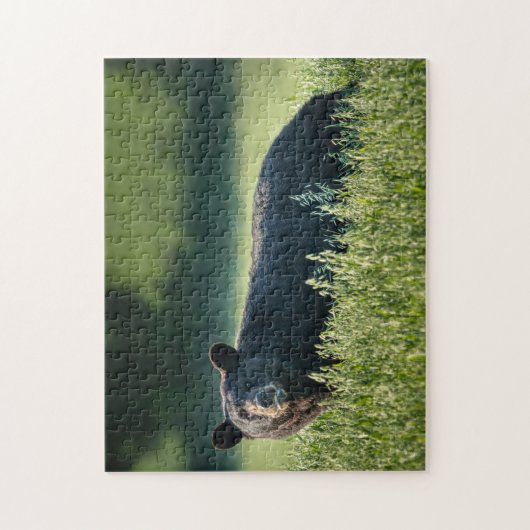 Bruno the Bären Puzzle (Vertikal)