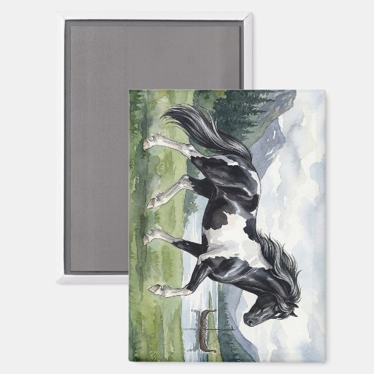 Brunskjottur Schwarzer Pinto Isländer Magnet (Vorderseite/Rückseite)
