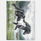 Brunskjottur Schwarzer Pinto Isländer Magnet (Vorderseite)