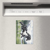 Brunskjottur Schwarzer Pinto Isländer Magnet (In Situ (Geschirrspüler))