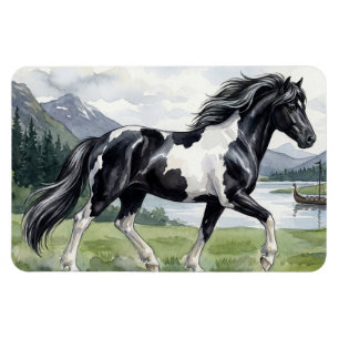 Brunskjottur Schwarzer Pinto Isländer Magnet