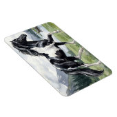 Brunskjottur Schwarzer Pinto Isländer Magnet (Rechte Seite)
