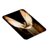 Brush 2013 magnet (Rechte Seite)