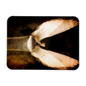 Brush 2013 magnet (Horizontal)