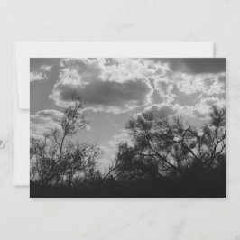 Brush Backlight (AZ Sonoran Desert) Einladung