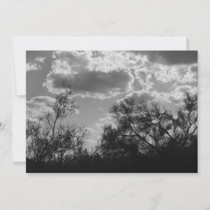 Brush Backlight (AZ Sonoran Desert) Einladung