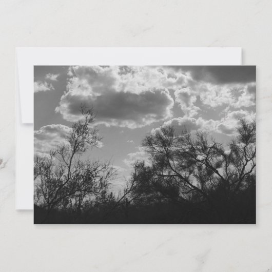 Brush Backlight (AZ Sonoran Desert) Einladung (Vorderseite)