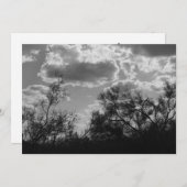 Brush Backlight (AZ Sonoran Desert) Einladung (Vorne/Hinten)