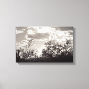 Brush Backlight Sonoran Wüste B&W Foto Kunst druck Leinwanddruck