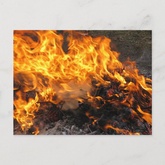 Brush Postkarte (Vorderseite)