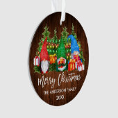 Brush Script Weihnachtsweihnachtsleuchten Gnomes Ornament (Vorderseite)