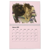 Brushstroke Opening Feline Masterpiece Photo Kalender (Feb 2026)
