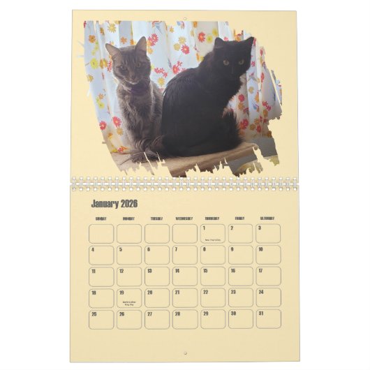 Brushstroke Opening Feline Masterpiece Photo Kalender (Jan 2026)