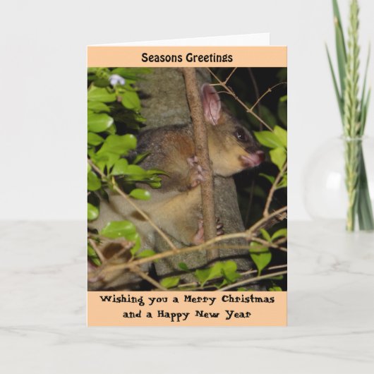Brushtail Opossum-Weihnachtskarte Feiertagskarte (Vorderseite)