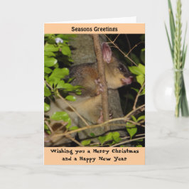 Brushtail Opossum-Weihnachtskarte Feiertagskarte