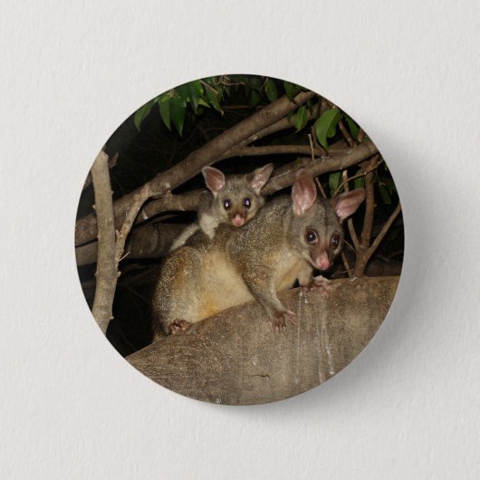 Brushtail Opossums Button (Vorderseite)