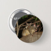 Brushtail Opossums Button (Vorne & Hinten)