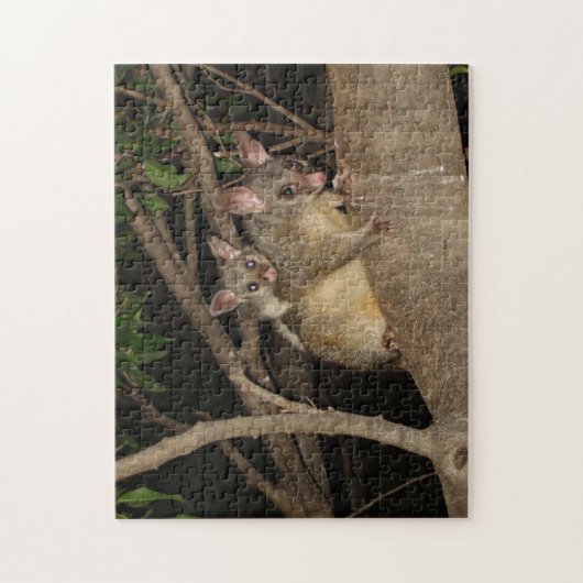 Brushtail Opossums Puzzle (Vertikal)