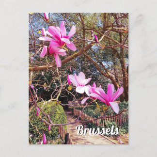 Brüssel Belgien - Foto Postkarte