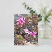 Brüssel Belgien - Foto Postkarte (Stehend Vorderseite)