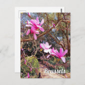 Brüssel Belgien - Foto Postkarte (Vorne/Hinten)