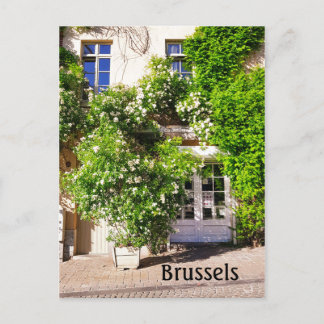 Brüssel Belgien Street Foto Postkarte