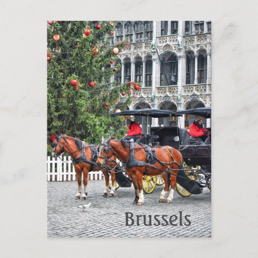 Brüssel Belgien Weihnachts-Foto Postkarte (Vorderseite)