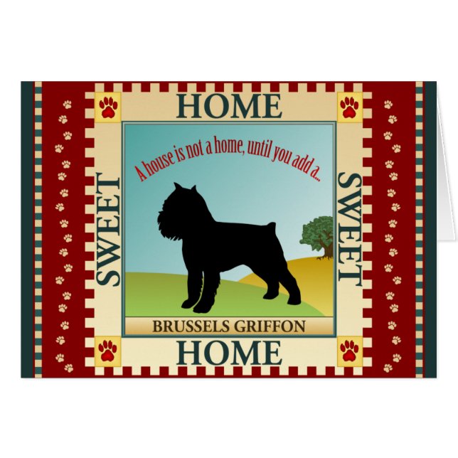 Brüssel Griffon (Vorderseite (Horizontal))