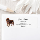 Brüssel Griffon Address Labels (Insitu)