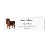 Brüssel Griffon Address Labels (Vorne)