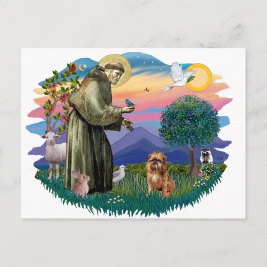 Brüssel Griffon (braun/rot) Postkarte (Vorderseite)