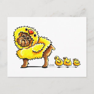 Brüssel Griffon Chick Oaster Feiertagspostkarte