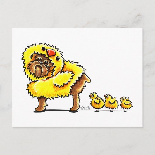 Brüssel Griffon Chick Oaster Feiertagspostkarte (Vorderseite)