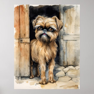 Brüssel Griffon - Dog Art Print Poster