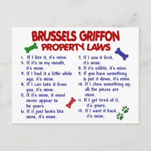 BRÜSSEL GRIFFON - Eigentumsrecht 2 Postkarte