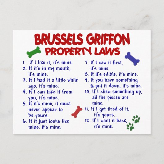 BRÜSSEL GRIFFON - Eigentumsrecht 2 Postkarte (Vorderseite)