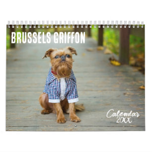 Brüssel-Griffon-Kalender 2025 Kalender