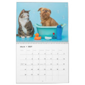 Brüssel-Griffon-Kalender 2026 Kalender (Mär 2027)