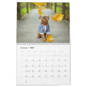 Brüssel-Griffon-Kalender 2026 Kalender (Jan 2027)