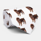 Brüssel Griffon Krawatte (Gerollt)