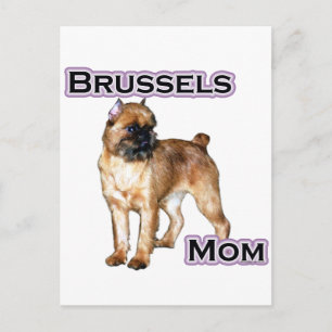 Brüssel Griffon Mama; Mama Brüssel Griffon Postkarte