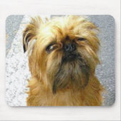 Brüssel Griffon Mousepad (Vorne)