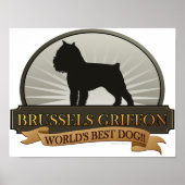 Brüssel Griffon Poster (Vorne)