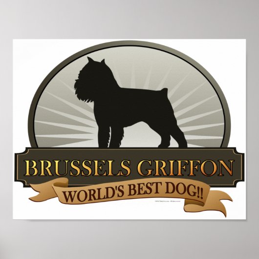 Brüssel Griffon Poster (Vorne)
