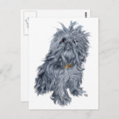 Brüssel Griffon Postkarte (Vorne/Hinten)