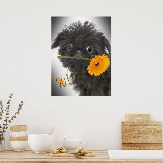 Brüssel Griffon schwarz mit Daisy Poster (Küche)