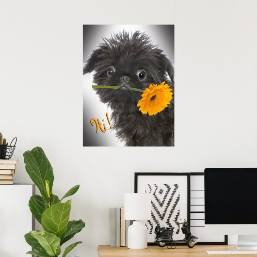 Brüssel Griffon schwarz mit Daisy Poster (Heimbüro)