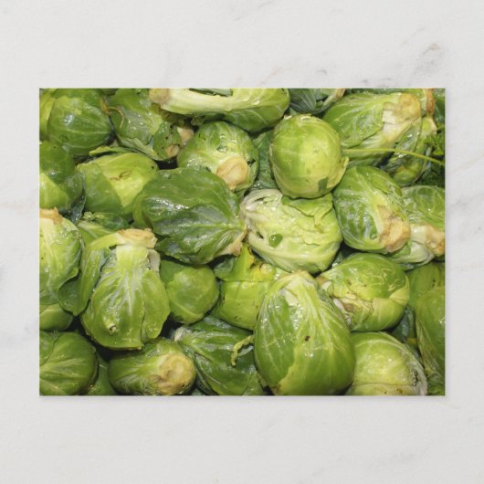 Brussel Sprouts Postkarte (Vorderseite)