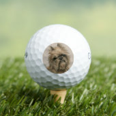 Brüsseler Griffon Golfball (Insitu T-Shirt)