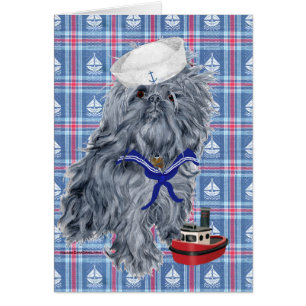Brüsseler Griffon Matrose